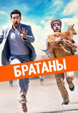 Сводные братья