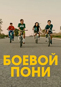 Боевой пони