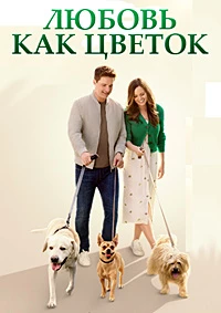 Любовь как цветок