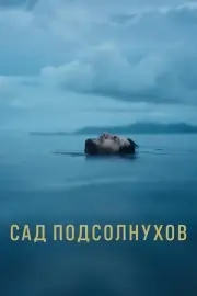 Сад подсолнухов